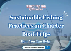 fishing charters key west
